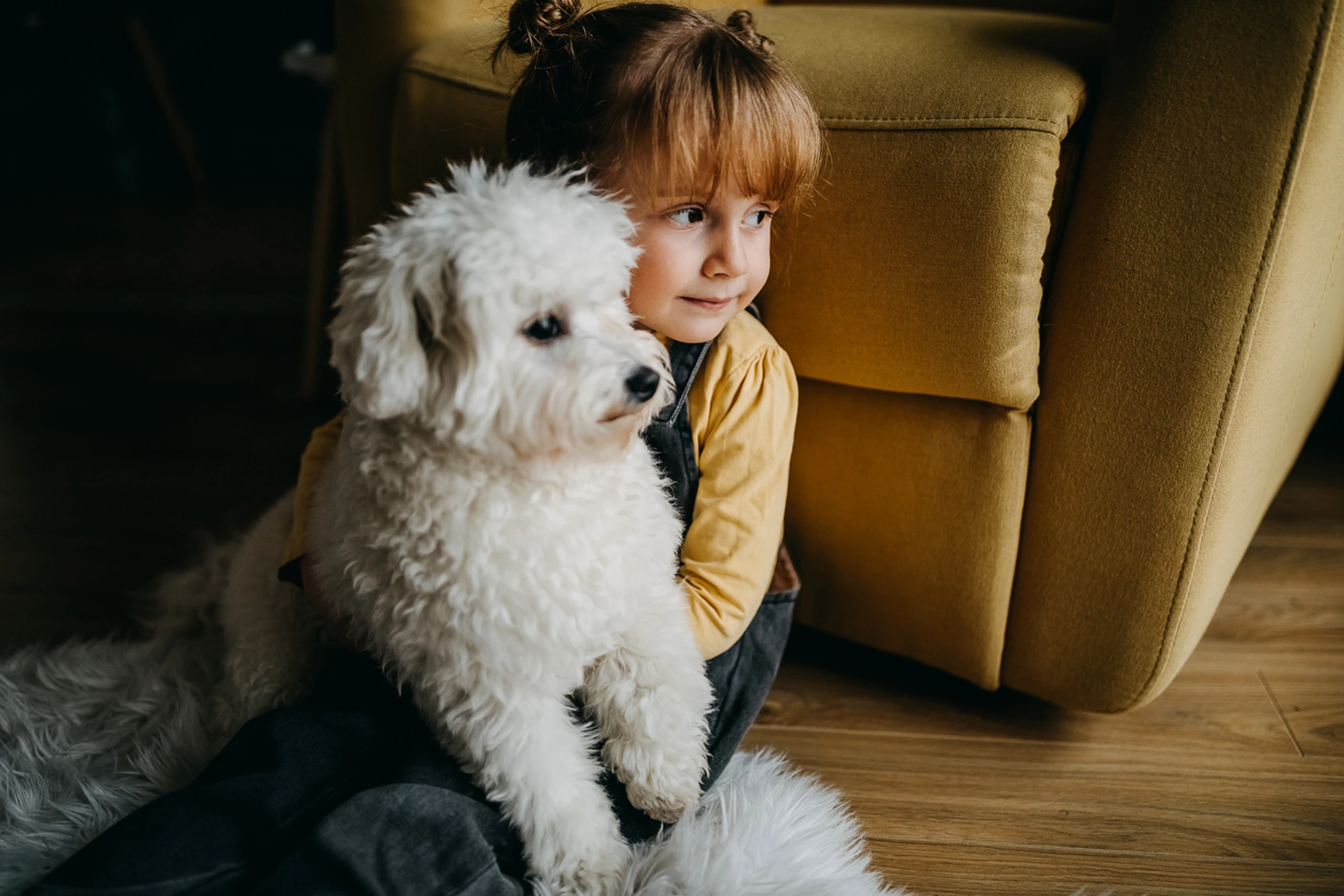 © iStock Blurred image background