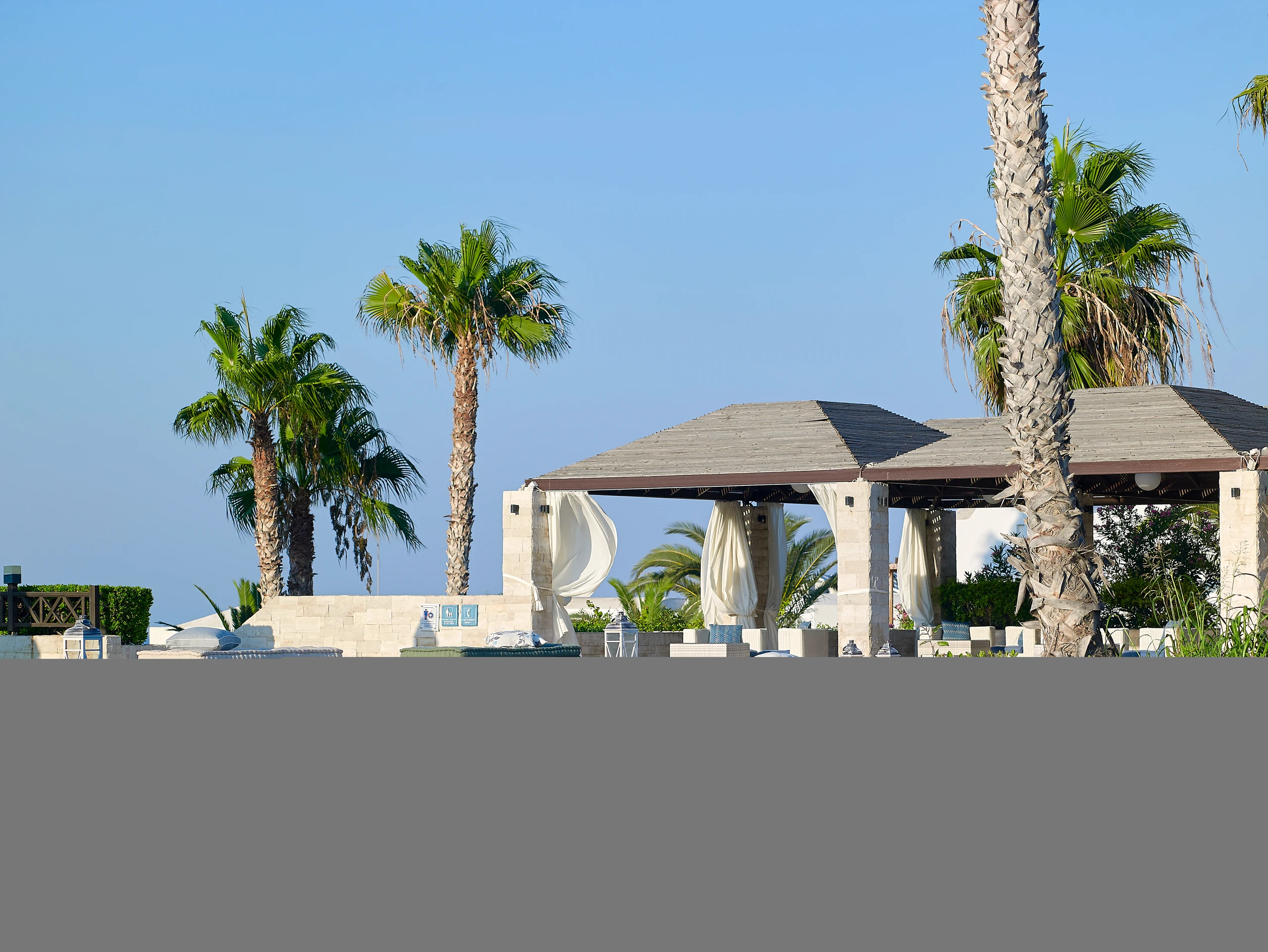 Blurred image background