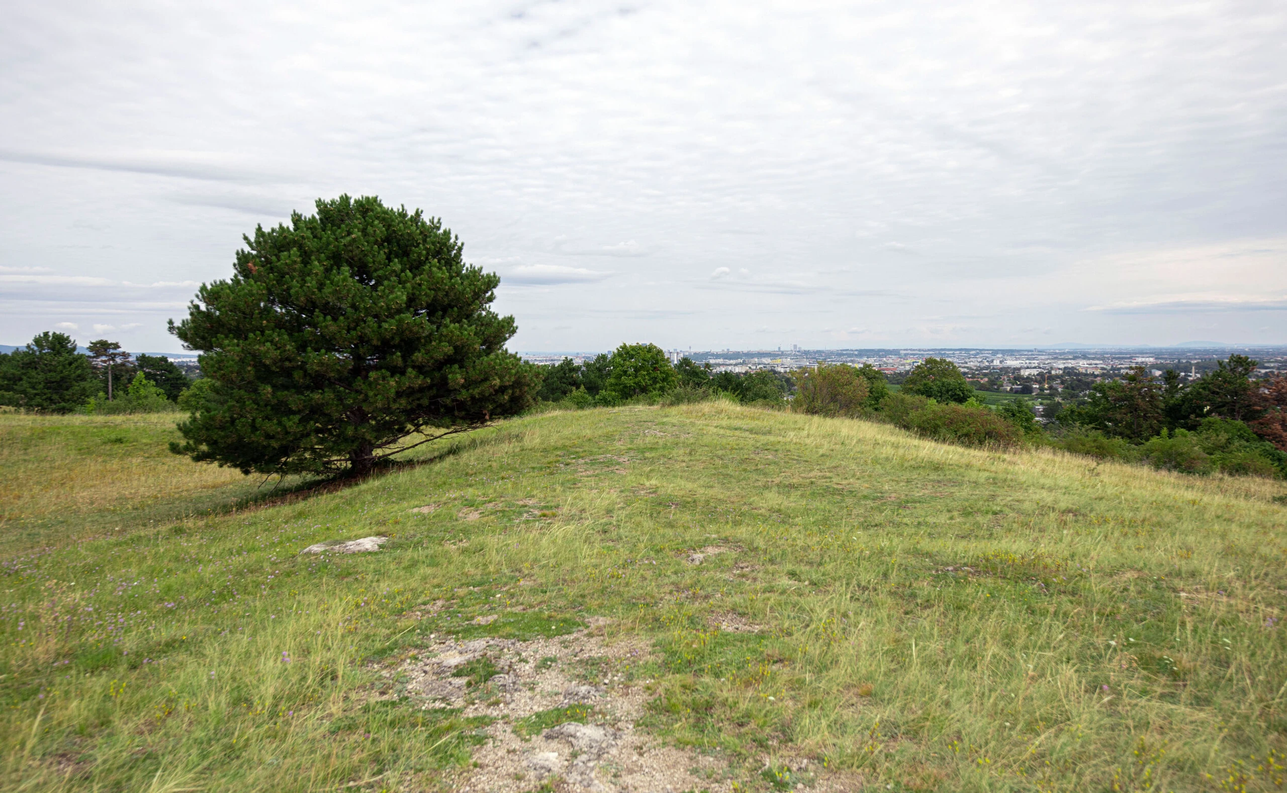 Perchtoldsdorfer Heide
