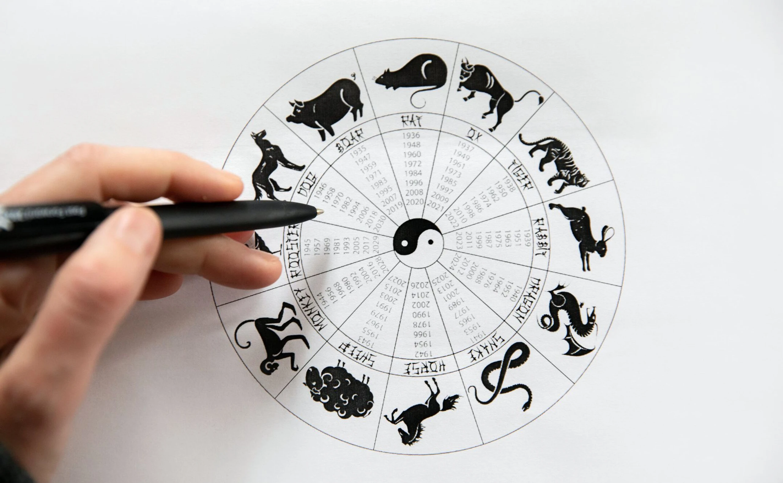 Chinesisches Sternzeichen: Diese Bedeutung haben die 12 verschiedenen Tiere