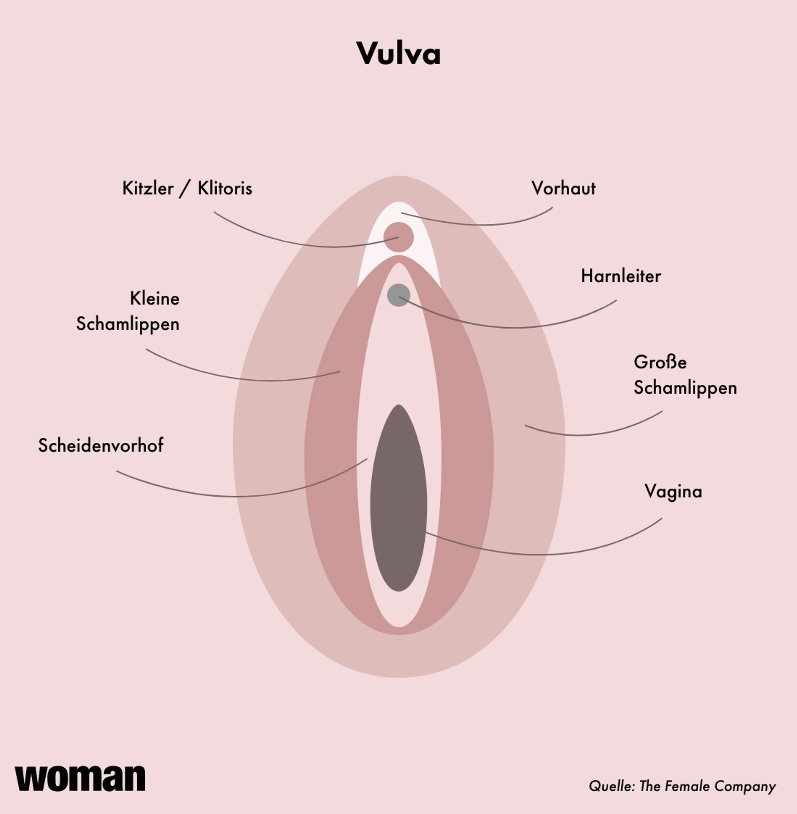 Blurred image background