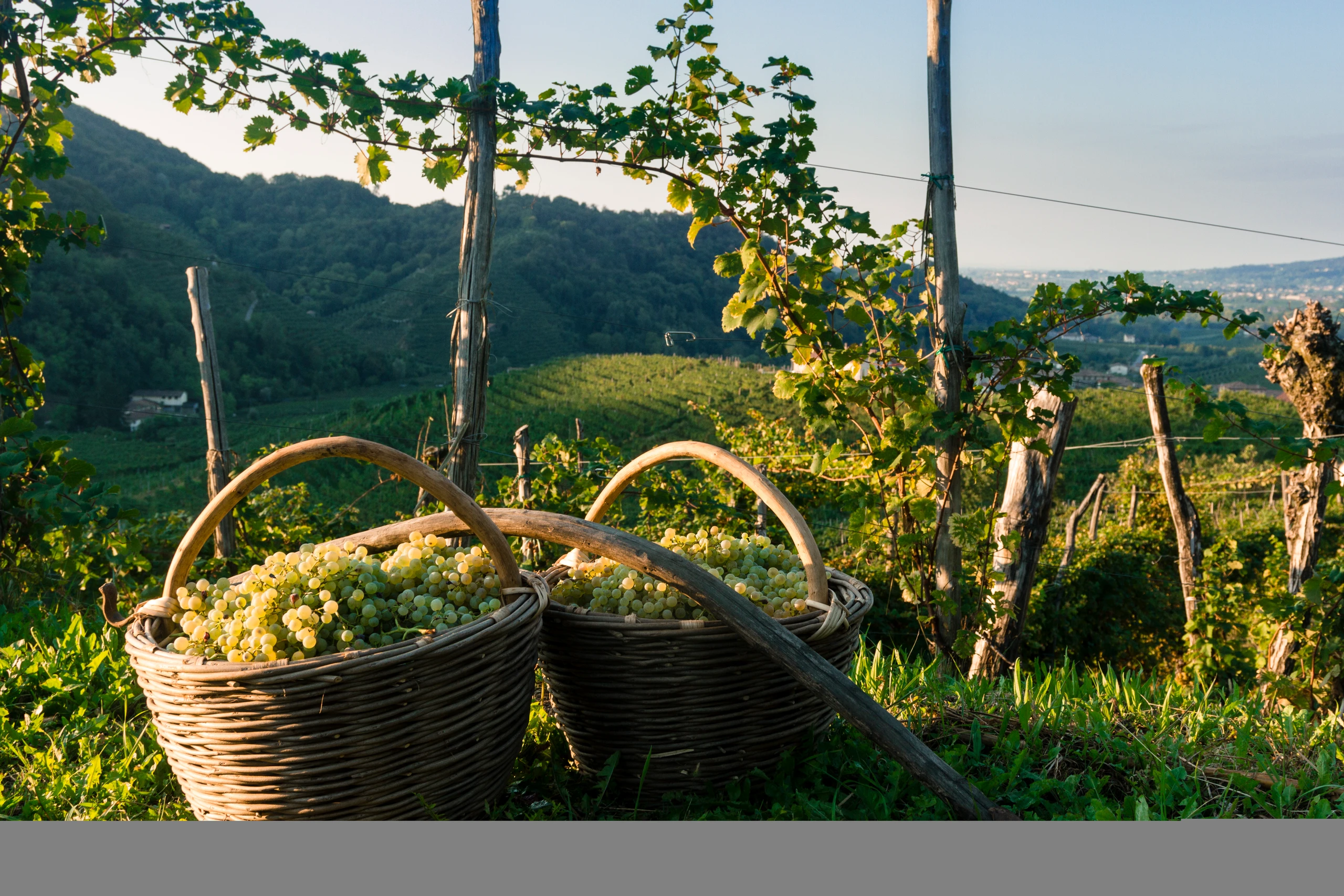 © Marco Pavan Blurred image background