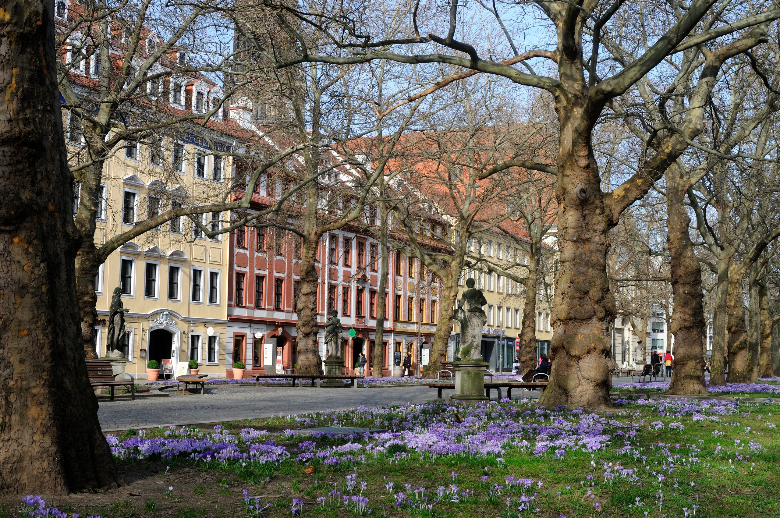 © Frank Exß, © Frank Exß Blurred image background