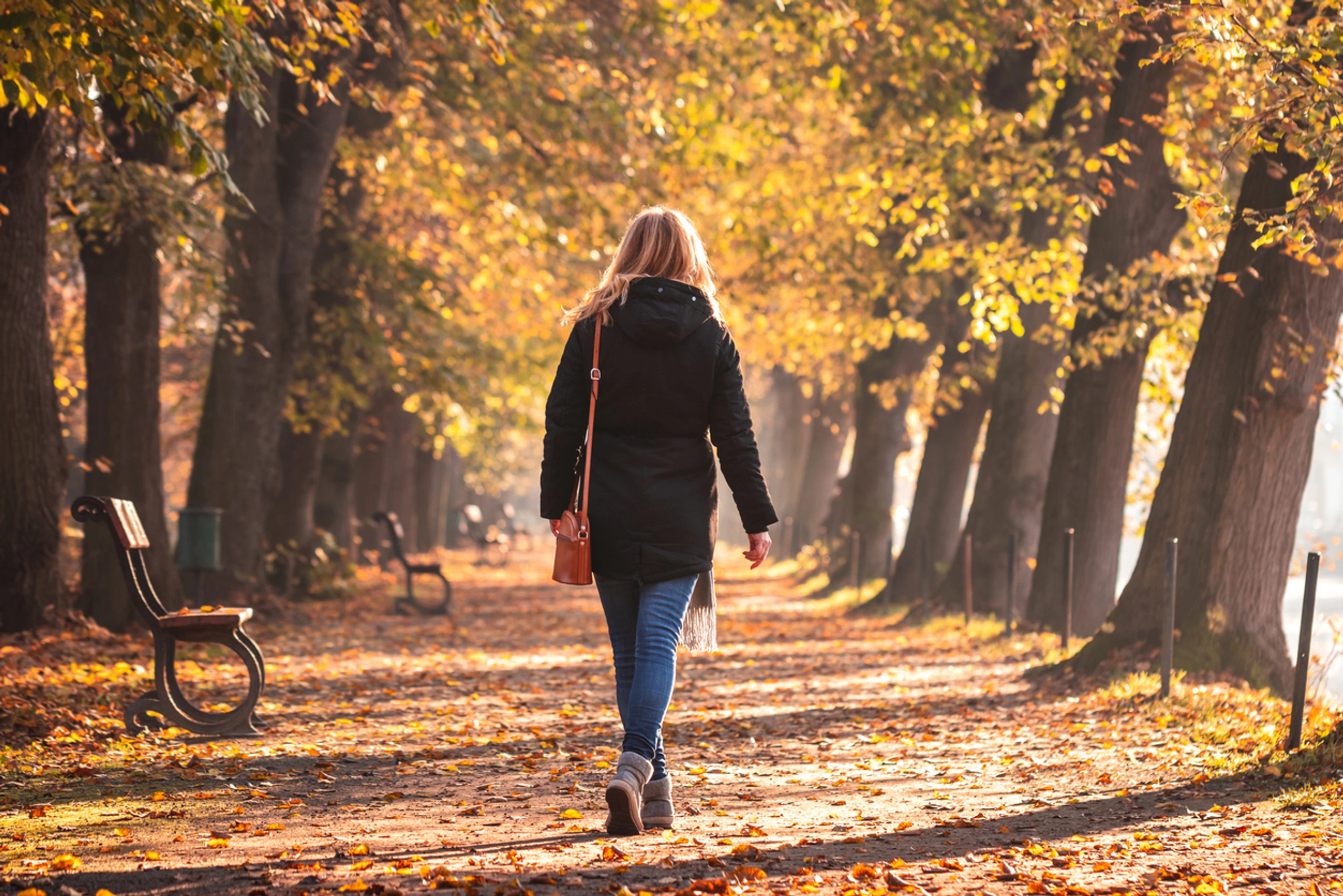 © iStock Blurred image background