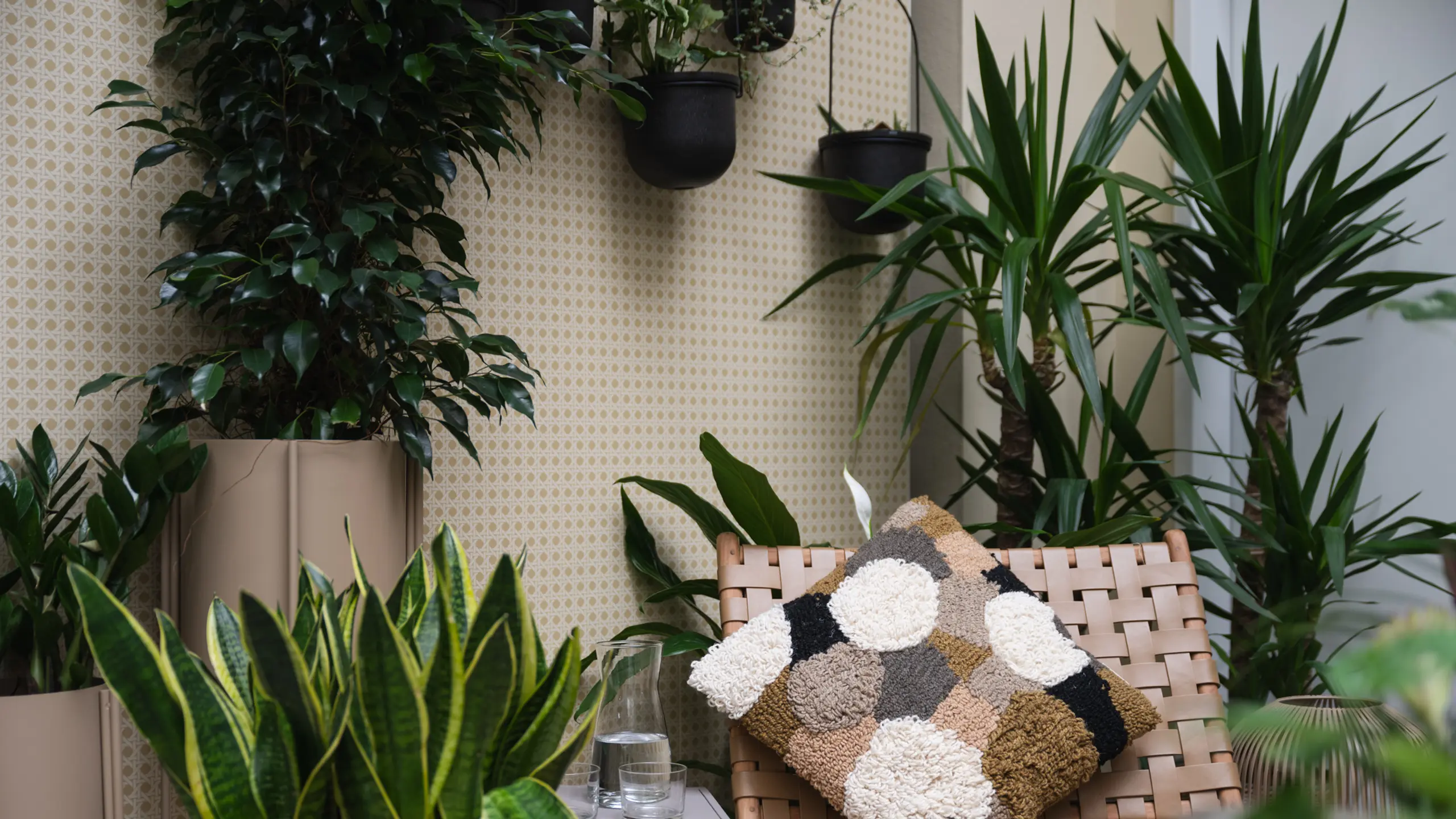 Salon Verde Living Green