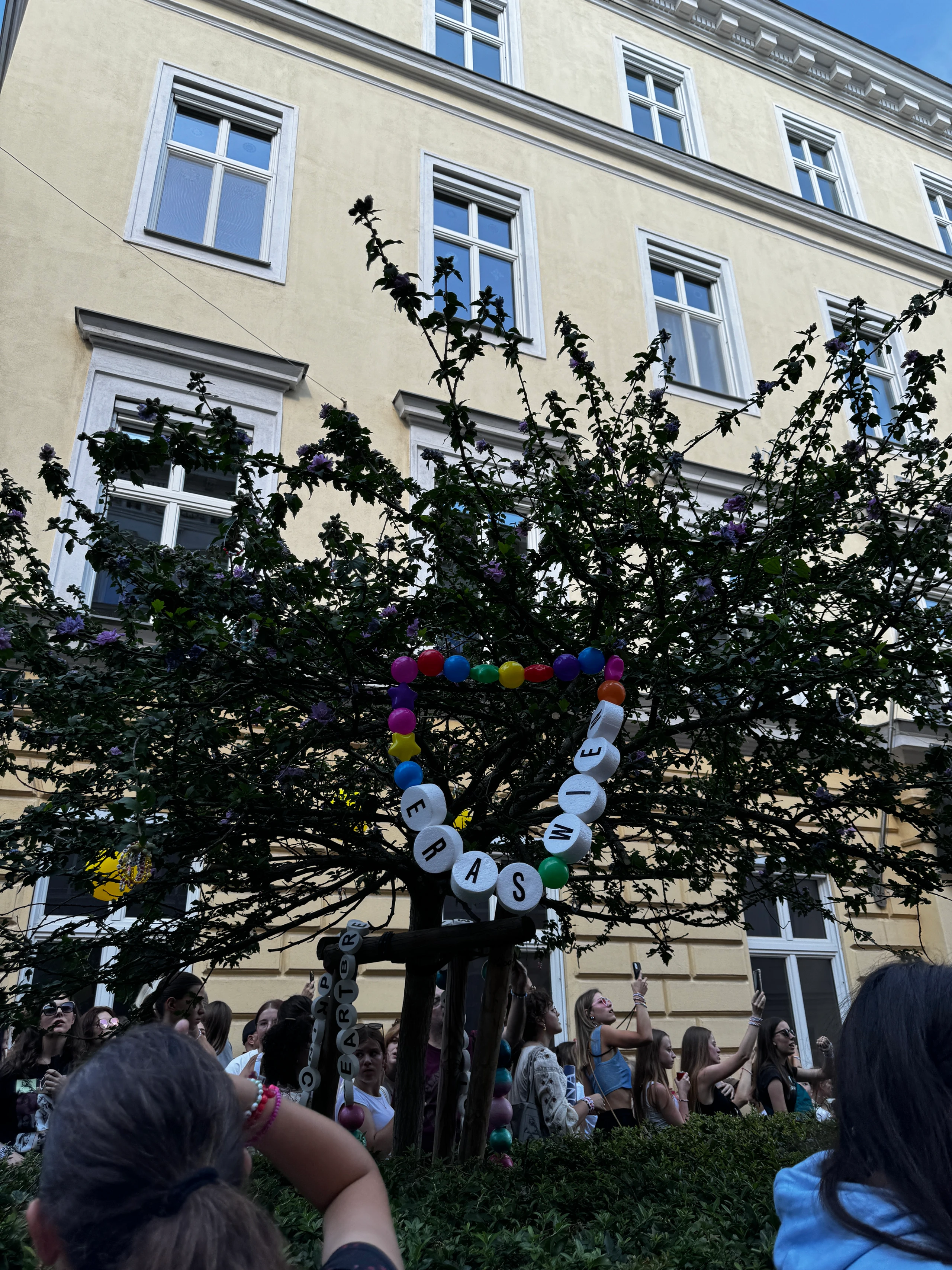 Blurred image background