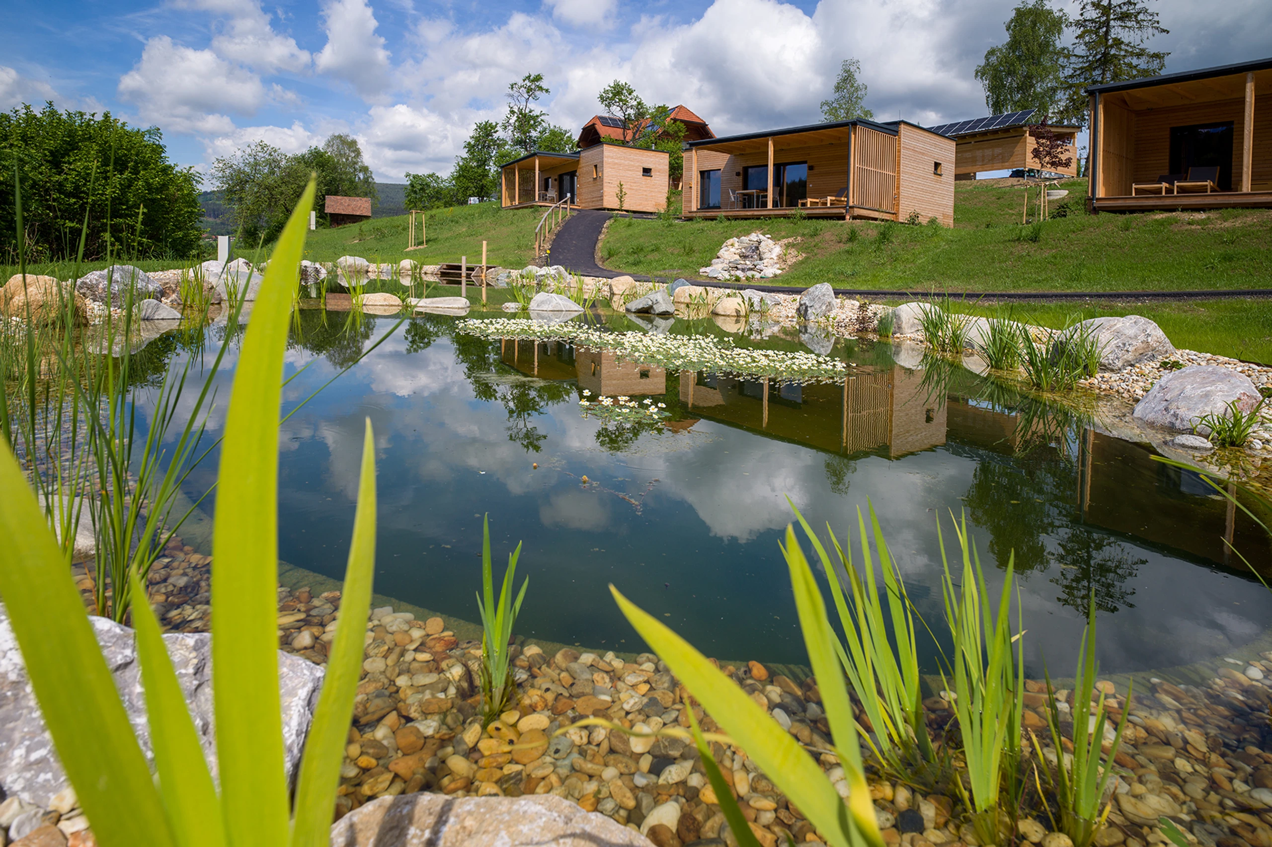 © Wiesenquartier<> Hans Schrotthofer, Wiesenquartier, Hans Schrotthofer Bild