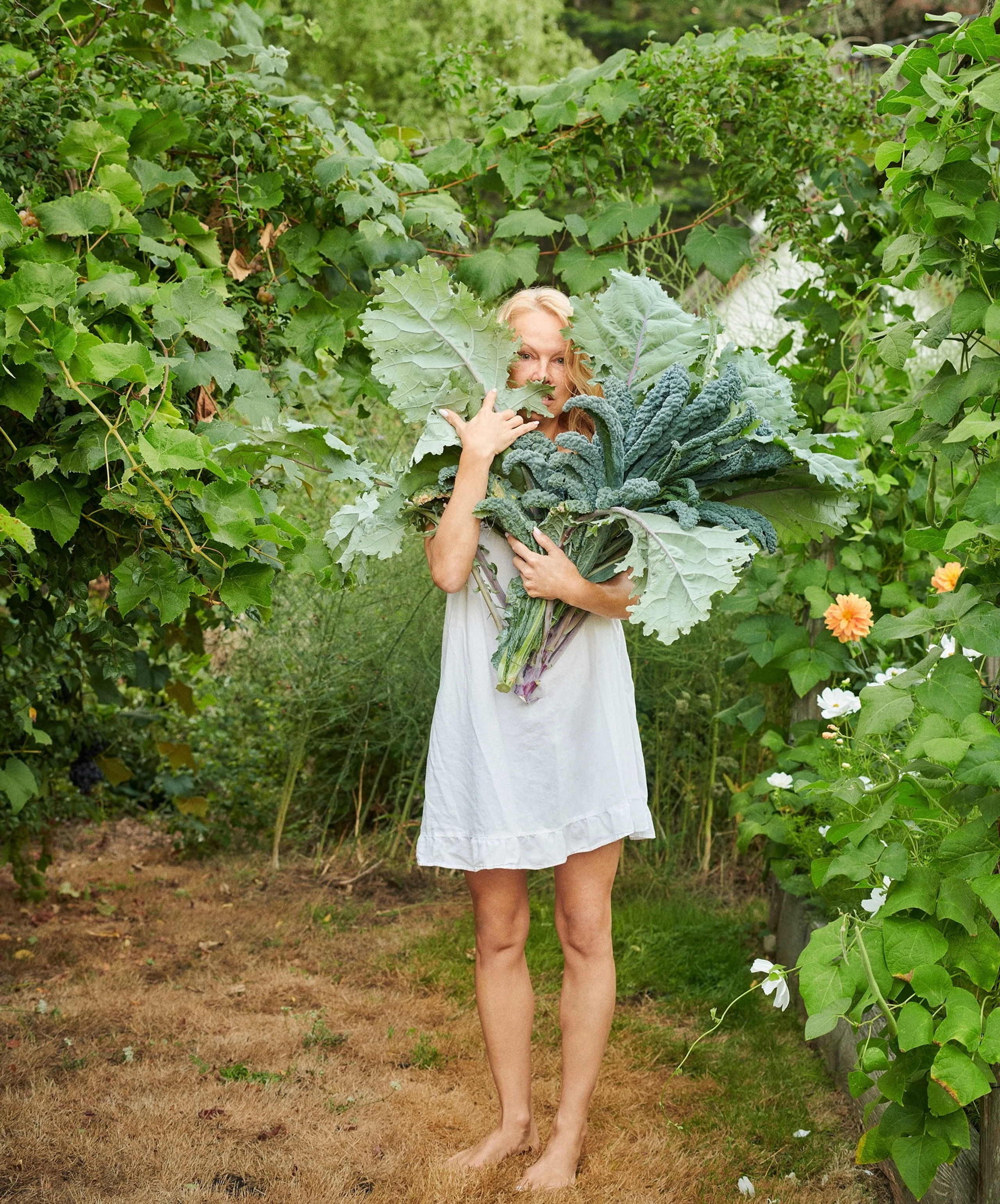 Blurred image background