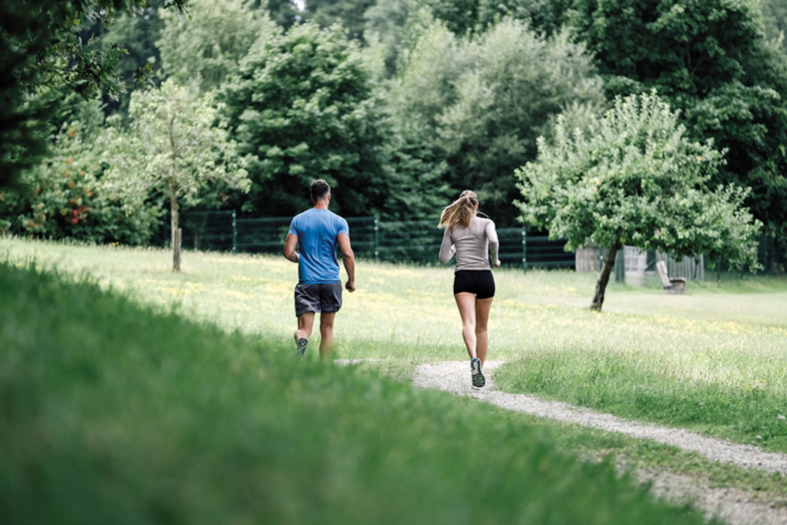 Blurred image background