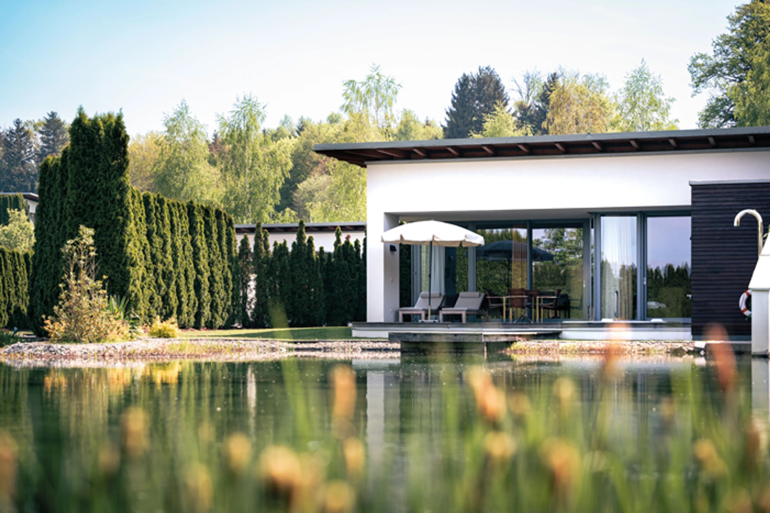 Blurred image background