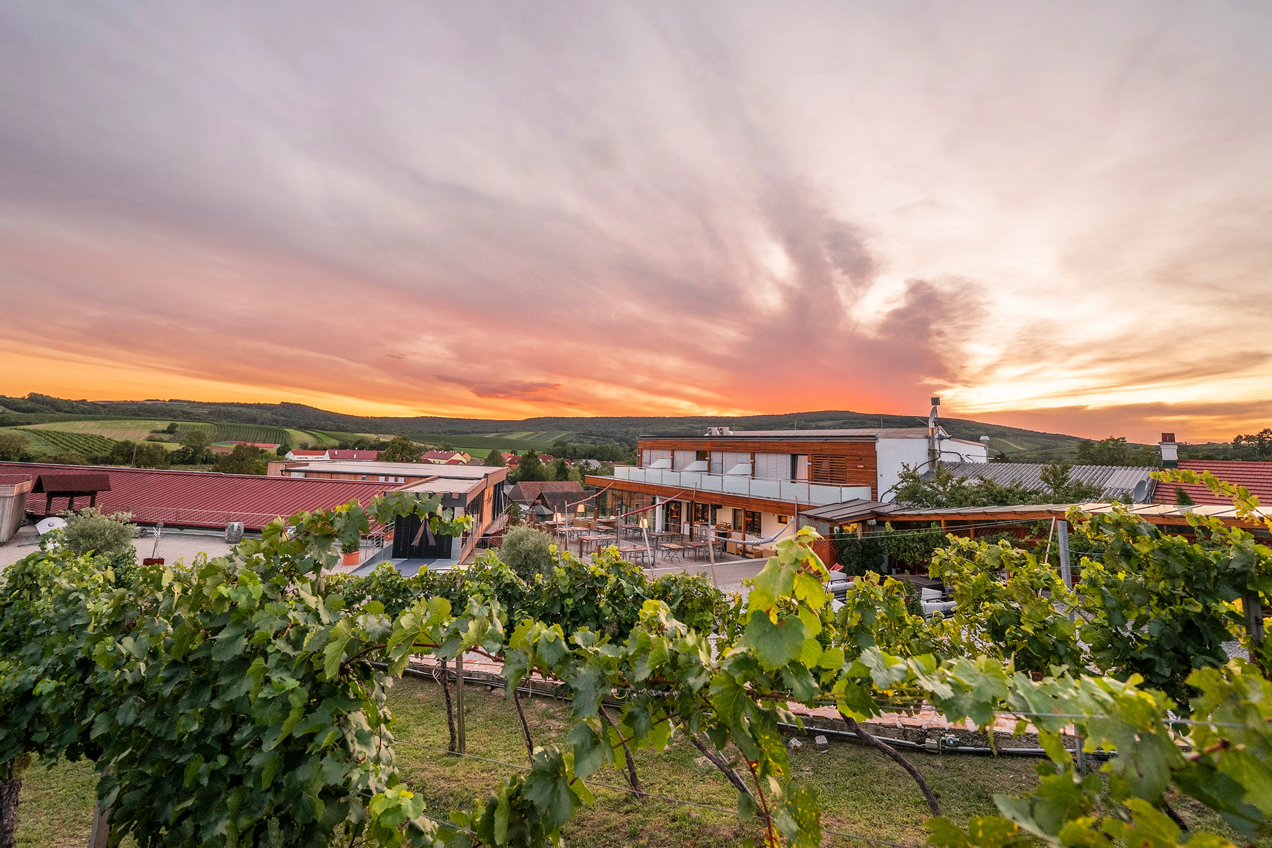 © Weingut Hagn - Stefanie Winter Blurred image background