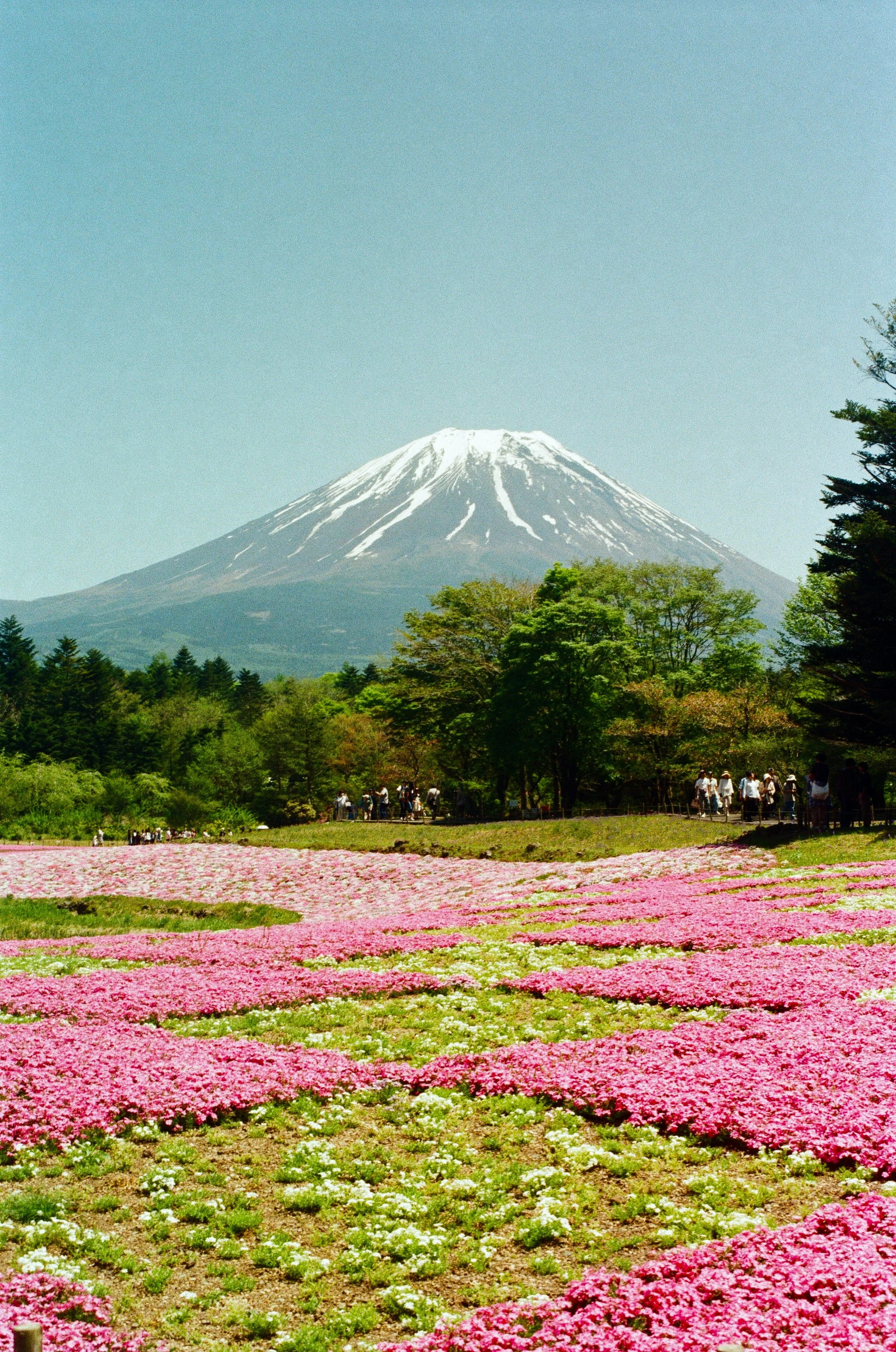 Berg Fuji