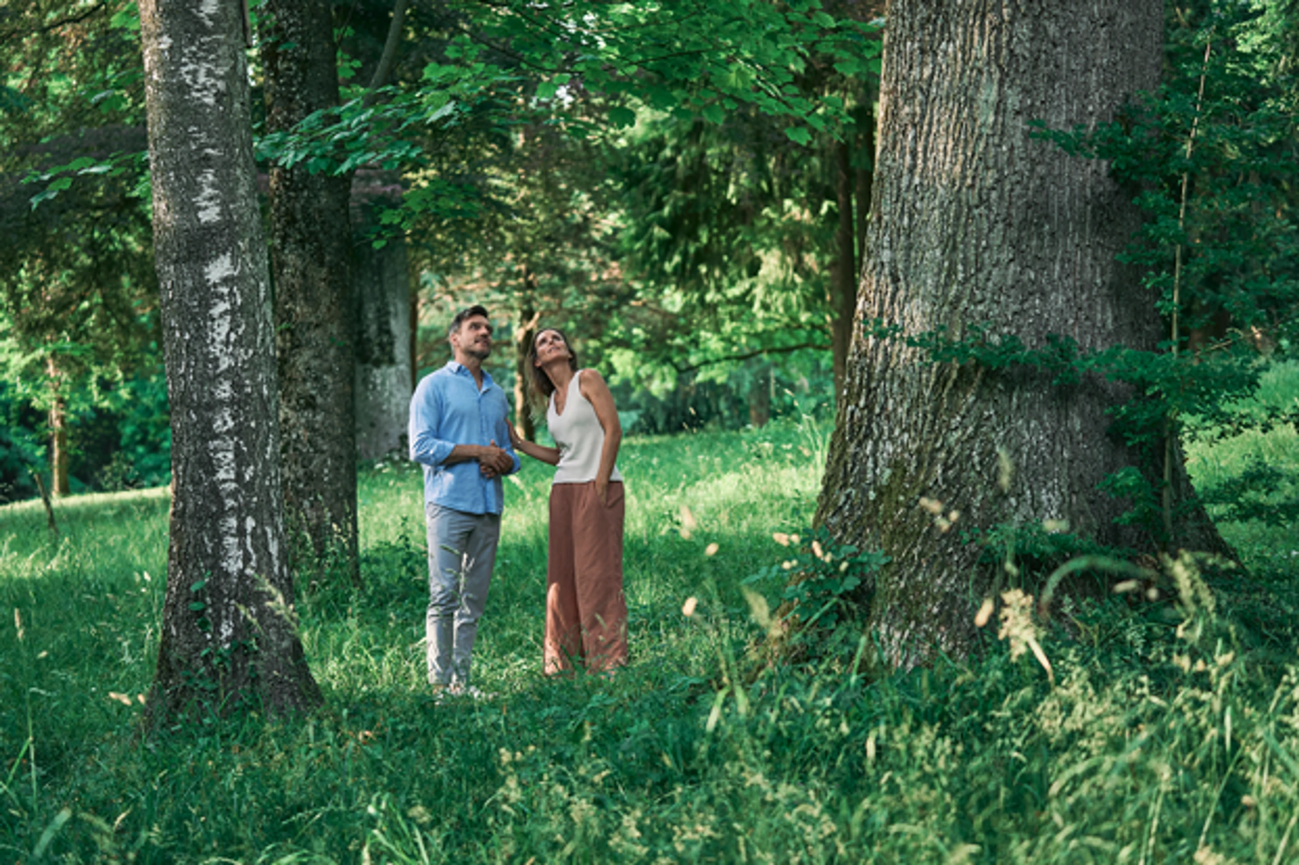 © Oberösterreich Tourismus/Robert Maybach Blurred image background