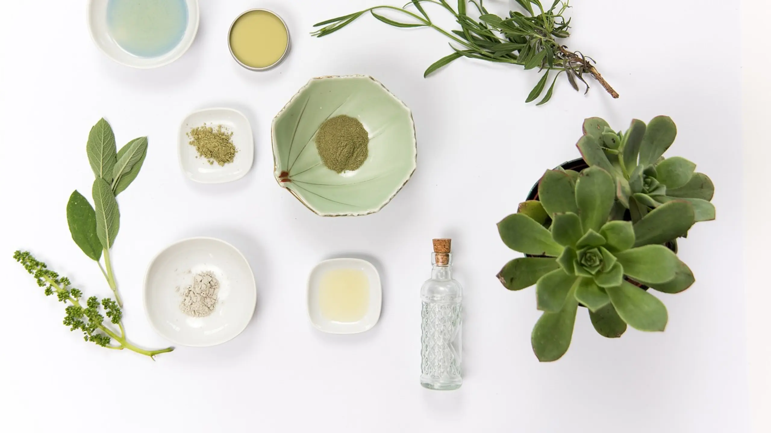 Kräuter und Öle in Schalen vor weißem Hintergrund