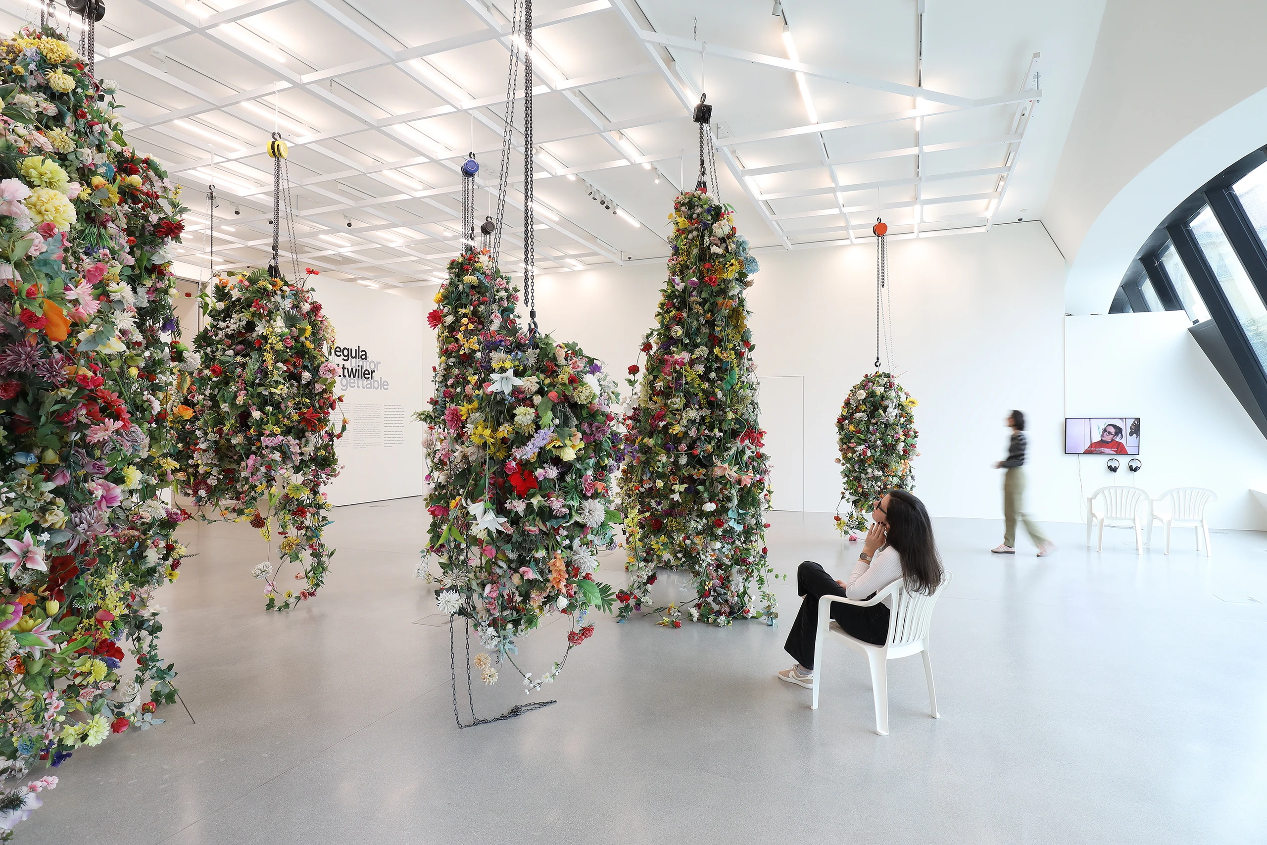 Blurred image background