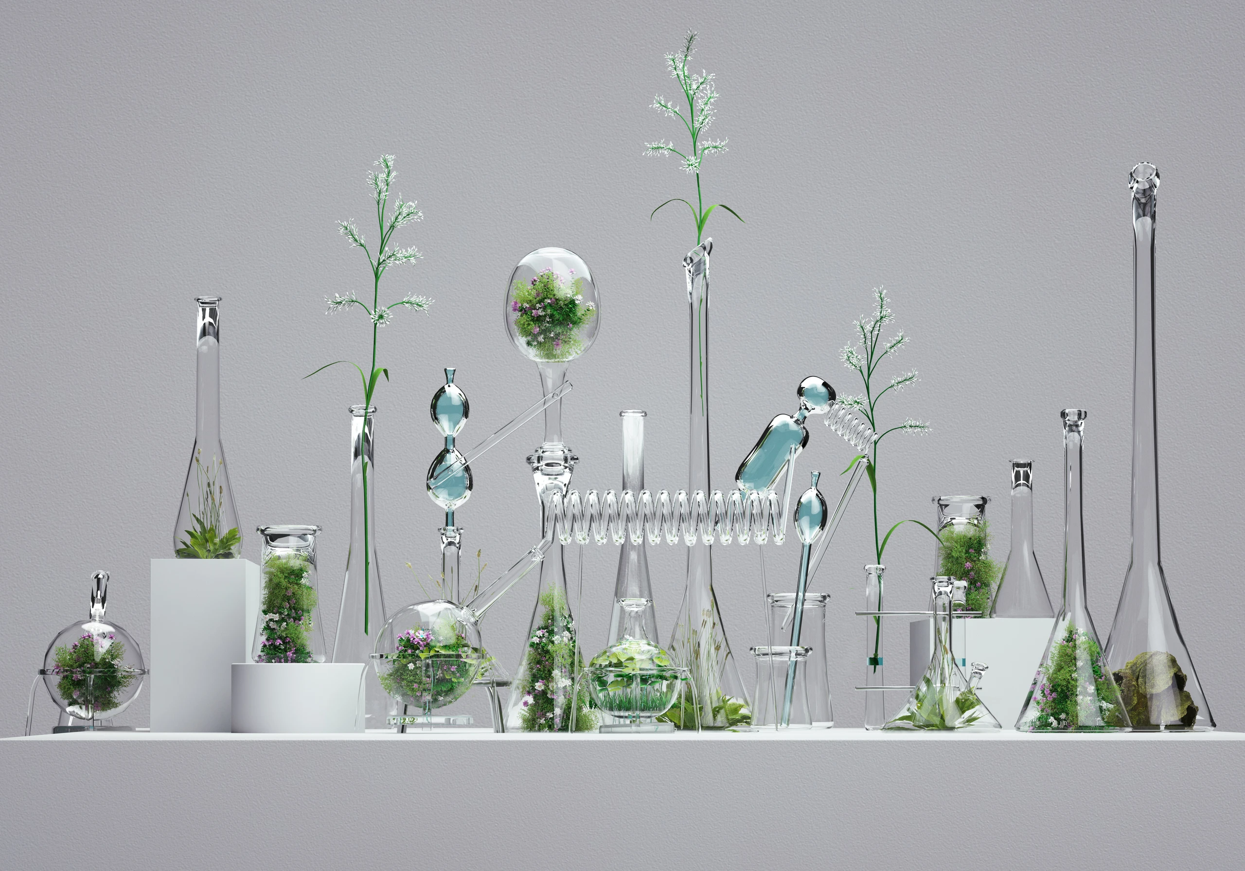 Gläser mit Pflanzen