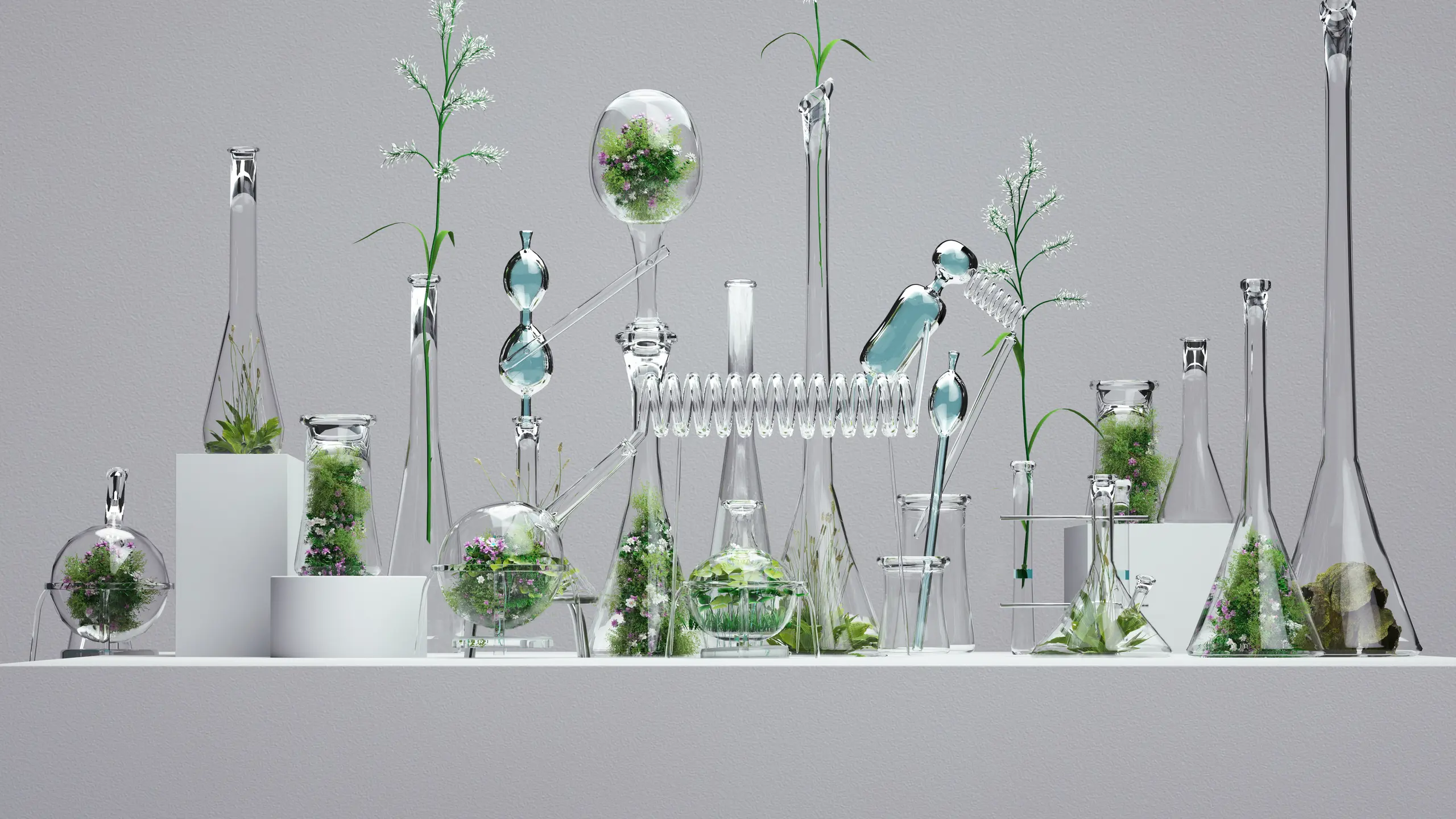 Gläser mit Pflanzen